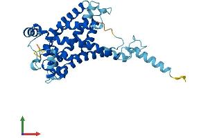 AlphaFold protein structure predicition of Mouse Recombinant Slc25a43 Protein, UniprotID A2A3V2
