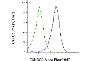 Validation of TXNDC9 knockdown using flow cytometry. (Recombinant TXNDC9 anticorps)