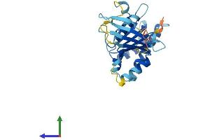 AlphaFold protein structure predicition of Human Recombinant SWSAP1 Protein, UniprotID Q6NVH7