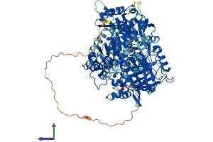 AlphaFold protein structure predicition of Human Recombinant IREB2 Protein, UniprotID P48200