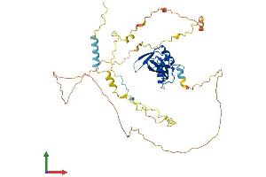 AlphaFold protein structure predicition of Human Recombinant BLNK Protein, UniprotID Q8WV28