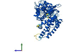 AlphaFold protein structure predicition of Mouse Recombinant Cyp17a1 Protein, UniprotID P27786