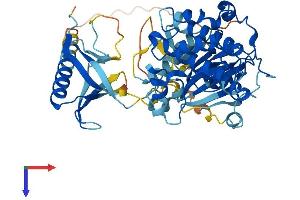 V-Akt Murine Thymoma Viral Oncogene Homolog 1 (AKT1) (AA 1-480) protein (His tag)