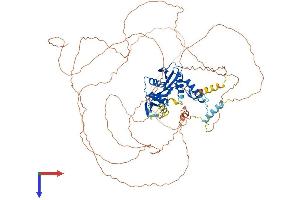 AlphaFold protein structure predicition of Mouse Recombinant Esco1 Protein, UniprotID Q69Z69