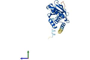 AlphaFold protein structure predicition of Human Recombinant DUSP19 Protein, UniprotID Q8WTR2