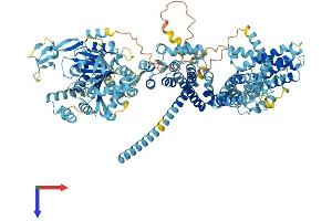 AlphaFold protein structure predicition of Human Recombinant TRPM8 Protein, UniprotID Q7Z2W7