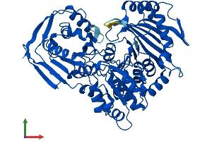 AlphaFold protein structure predicition of Mouse Recombinant Pgm1 Protein, UniprotID Q9D0F9