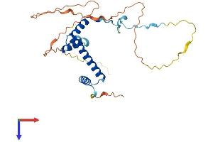 AlphaFold protein structure predicition of Human Recombinant TAF9 Protein, UniprotID Q16594