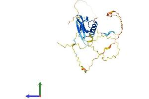 AlphaFold protein structure predicition of Human Recombinant CBX7 Protein, UniprotID O95931
