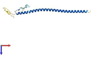 AlphaFold protein structure predicition of Mouse Recombinant Map3k7cl Protein, UniprotID P58500