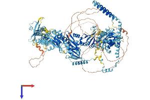 AlphaFold protein structure predicition of Mouse Recombinant Med14 Protein, UniprotID A2ABV5