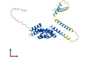 AlphaFold protein structure predicition of Mouse Recombinant Pex26 Protein, UniprotID Q8BGI5