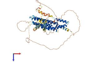 AlphaFold protein structure predicition of Human Recombinant FAM114A2 Protein, UniprotID Q9NRY5