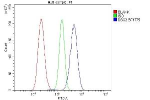 Flow Cytometry analysis of RH35 cells using anti-DSG2 antibody (ABIN7600803). (Desmoglein 2 anticorps  (AA 24-1020))