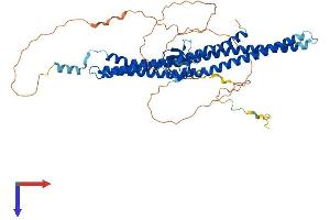 AlphaFold protein structure predicition of Human Recombinant BAIAP2L1 Protein, UniprotID Q9UHR4