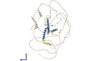 AlphaFold protein structure predicition of Human Recombinant TCF12 Protein, UniprotID Q99081