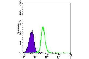 Flow Cytometry (FACS) image for anti-Cadherin 5 (CDH5) (AA 29-223) antibody (ABIN1846316) (Cadherin 5 anticorps  (AA 29-223))