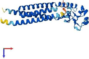 AlphaFold protein structure predicition of Human Recombinant TSPAN7 Protein, UniprotID P41732
