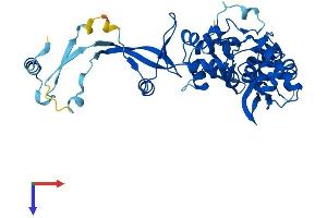AlphaFold protein structure predicition of Human Recombinant DSCC1 Protein, UniprotID Q9BVC3