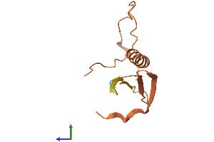 AlphaFold protein structure predicition of Human Recombinant RIG Protein, UniprotID Q13278
