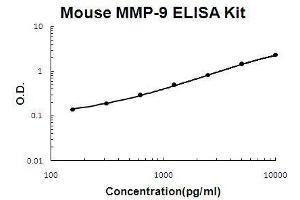 Mouse MMP-9 PicoKine ELISA Kit standard curve