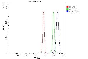 Flow Cytometry analysis of RH35 cells using anti-LSM8 antibody (ABIN7599578). (NAA38 anticorps  (AA 1-96))