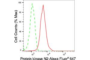 Flow cytometric analysis of Protein kinase N2 expression in HepG2 cells using Protein kinase N2 antibody (ABIN7800006), 1:2,000). (Recombinant PKN2 anticorps)