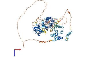 AlphaFold protein structure predicition of Mouse Recombinant Irak2 Protein, UniprotID Q8CFA1