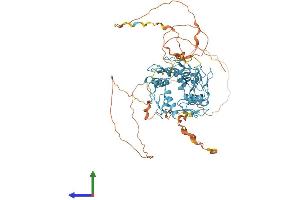 AlphaFold protein structure predicition of Human Recombinant ZNF48 Protein, UniprotID Q96MX3