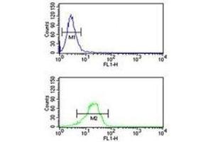 NQO1 antibody flow cytometric analysis of NCI-H460 cells (green) compared to a negative control (blue).