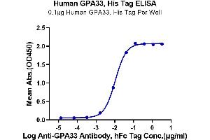 Immobilized Human GPA33, His Tag at 1 μg/mL (100 μL/well) on the plate. (GPA33 Protein (AA 22-235) (His-Avi Tag))