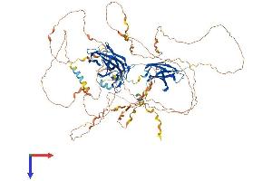 AlphaFold protein structure predicition of Human Recombinant NFATC4 Protein, UniprotID Q14934