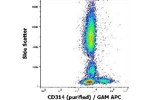Flow cytometry surface staining pattern of human peripheral blood stained using anti-human CD314 (1D11) purified antibody (concentration in sample 4 μg/mL) GAM APC. (KLRK1 anticorps)
