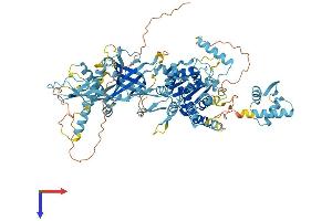 AlphaFold protein structure predicition of Mouse Recombinant Mcm8 Protein, UniprotID Q9CWV1