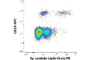 Flow cytometry multicolor surface staining of human lymphocytes stained using anti-human Ig Lambda Light Chain (1-155-2) PE antibody (10 μL reagent / 100 μL of peripheral whole blood) and anti-human CD19 (LT19) APC antibody (10 μL reagent / 100 μL of peripheral whole blood). (Lambda-IgLC anticorps  (PE))
