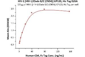 Immobilized HIV-1 [HIV-1/Clade B/C (CN54)] GP120, His Tag (7) at 5 μg/mL (100 μL/well) can bind Human CD4, Fc Tag (ABIN2180789,ABIN2180788) with a linear range of 1-39 ng/mL (QC tested). (Human Immunodeficiency Virus Surface Glycoprotein (HIV gp120) (AA 36-507) (Active) protein (His tag))