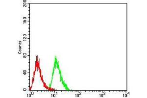 Flow cytometric analysis of Hela cells using LGALS1 mouse mAb (green) and negative control (red).