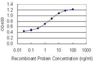 Detection limit for recombinant GST tagged RAB6B is 0.