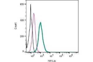 Cell surface detection of KV1.