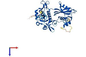 AlphaFold protein structure predicition of Mouse Recombinant Nudt13 Protein, UniprotID Q8JZU0