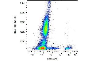 Surface staining of human peripheral blood with anti-CD20 (2H7) APC. (CD20 anticorps  (APC))