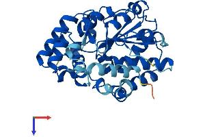 AlphaFold protein structure predicition of Mouse Recombinant Sult6b1 Protein, UniprotID P0CC03
