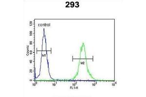 Flow Cytometry (FACS) image for anti-Melanocortin 2 Receptor Accessory Protein (MRAP) antibody (ABIN3004408) (MRAP anticorps)