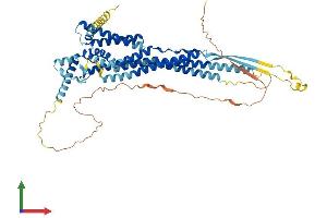 AlphaFold protein structure predicition of Human Recombinant OCSTAMP Protein, UniprotID Q9BR26