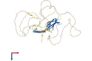 AlphaFold protein structure predicition of Mouse Recombinant Rab11fip5 Protein, UniprotID Q8R361