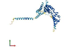 AlphaFold protein structure predicition of Mouse Recombinant Atad1 Protein, UniprotID Q9D5T0