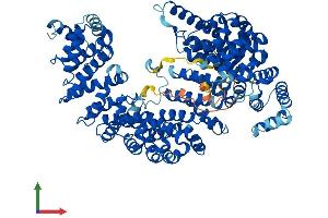 AlphaFold protein structure predicition of Human Recombinant TNPO2 Protein, UniprotID O14787