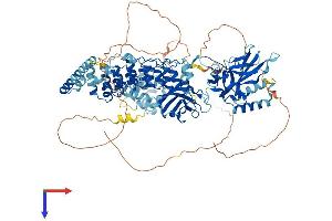AlphaFold protein structure predicition of Human Recombinant NFKB2 Protein, UniprotID Q00653