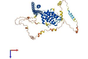 AlphaFold protein structure predicition of Human Recombinant TOM1 Protein, UniprotID O60784