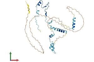 AlphaFold protein structure predicition of Mouse Recombinant Pinx1 Protein, UniprotID Q9CZX5